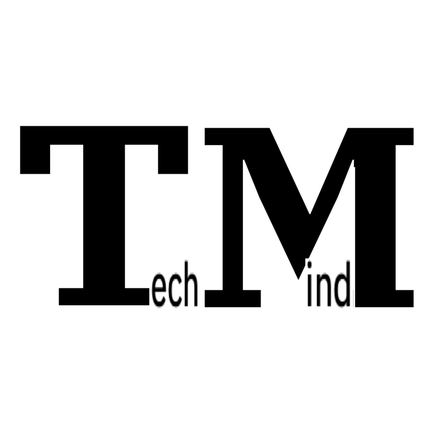 テックマインド株式会社 – テクノロジーの力を …